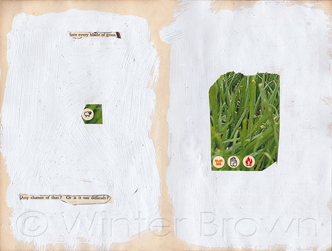 love every blade of grass love every blade of grass - digital collage by contemporary First Nations artist Winter Brown