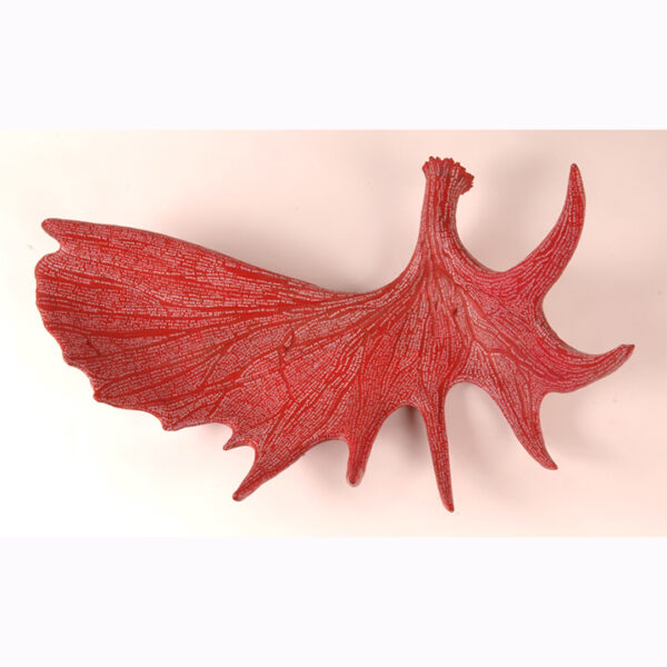 braver antler contemporary Indigenous Native American moose antler sculpture with handwritten text by First Nations Plains Cree Anishnawbe Metis artist Bebonkwe Brown (red color and white letters)